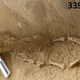 The buried remains of an infant aged between 6 and 9 months old at the time of death.